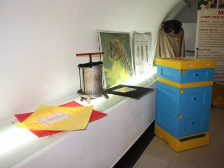 "Wystawa Pszczelarska" w Galerii Pod Ratuszem