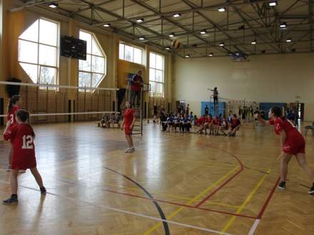 Turniej mini piłki siatkowej szkół podstawowych Zdj. www.sport.strumien.pl