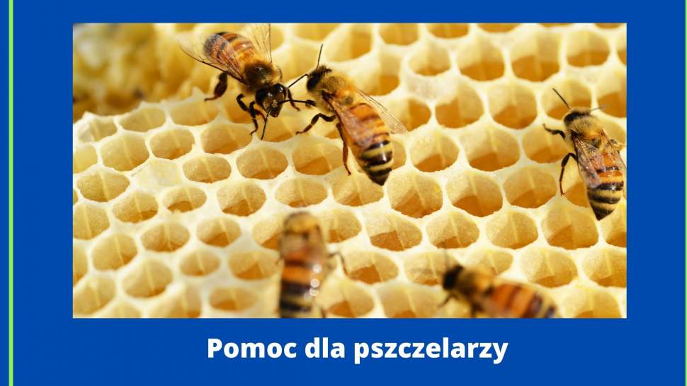 Pomoc dla pszczelarzy - grafika