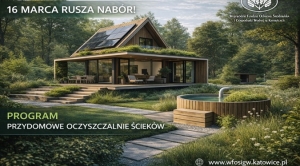 Obrazek domyslny serwisu strumien.pl
