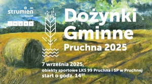 Obrazek domyslny serwisu strumien.pl