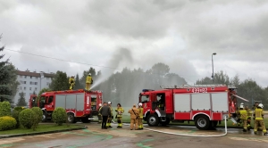 Obrazek domyslny serwisu strumien.pl
