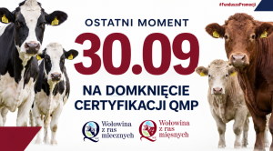 Obrazek domyslny serwisu strumien.pl