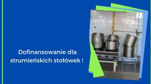 Obrazek domyslny serwisu strumien.pl