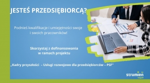 Obrazek domyslny serwisu strumien.pl