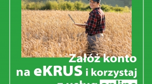 Obrazek domyslny serwisu strumien.pl