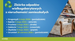 Obrazek domyslny serwisu strumien.pl