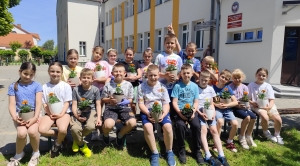 Obrazek domyslny serwisu strumien.pl