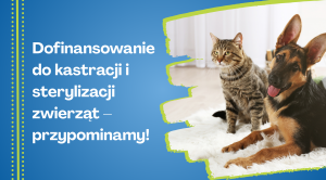 Obrazek domyslny serwisu strumien.pl