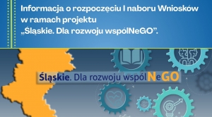 Obrazek domyslny serwisu strumien.pl