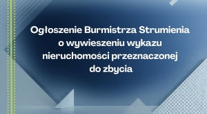 Obrazek domyslny serwisu strumien.pl