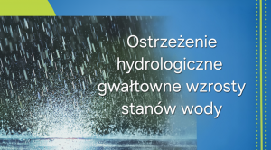 Obrazek domyslny serwisu strumien.pl