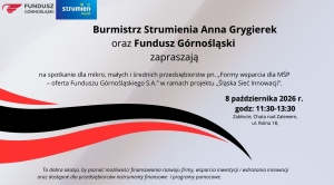 Obrazek domyslny serwisu strumien.pl