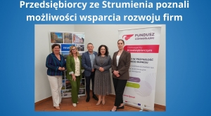 Obrazek domyslny serwisu strumien.pl