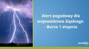 Obrazek domyslny serwisu strumien.pl