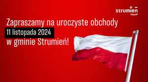 Obrazek domyslny serwisu strumien.pl