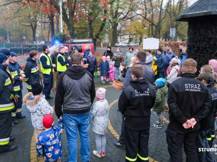 Akcja Świeć Przykładem w gminie Strumień 4.11.2024