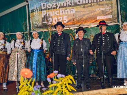 Występ Zespołu Regionalnego Strumień