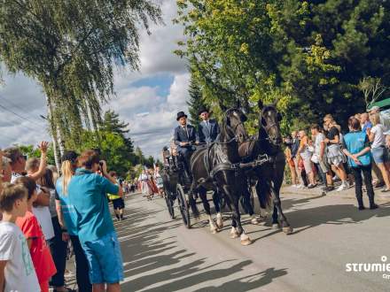 Korowód dożynkowy - bryczka wioząca gazdów