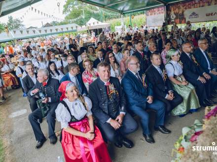 Goście podczas obrzędu dożynkowego