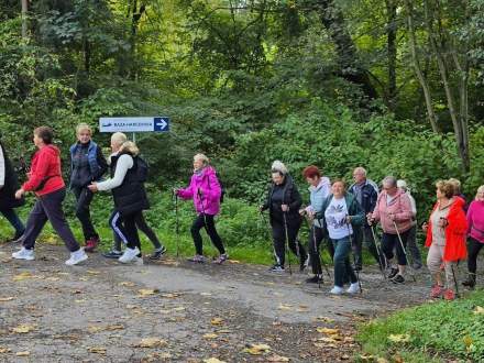 Marsz Nordic Walking