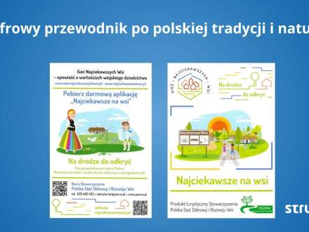 grafika