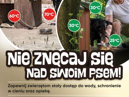 Nie znęcaj się nad swoim psem