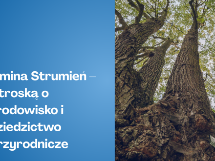 Gmina Strumień – z troską o środowisko i dziedzictwo przyrodnicze