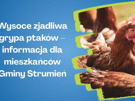 Wysocje zjadliwa grypa ptaków - informacja dla mieszkańców Gminy Strumień