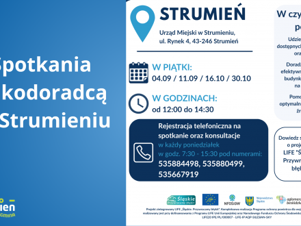 Grafika- Spotkania z Ekodoradcą w Strumieniu