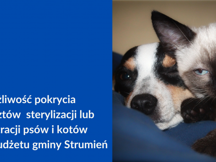 możliwośc pokrycia kosztów sterylizacji lub kastracji psów i kotów z budżetu gminy Strumień