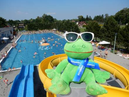 Żabka Gratka na basenie - zdjęcie