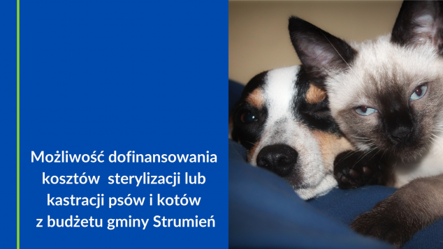 Ogłoszenie o naborze wniosków o dofinansowanie zabiegów sterylizacji lub kastracji psów i kotów ze środków budżetu gminy Strumień