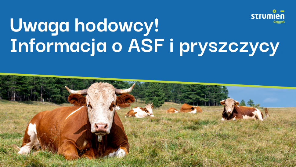 Uwaga hodowcy! Informacja o ASF i pryszczycy