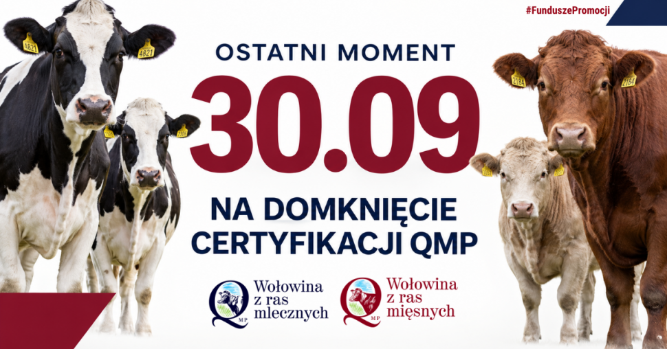Certyfikat QMP - termin uzyskania upływa 30 września 2026 r.