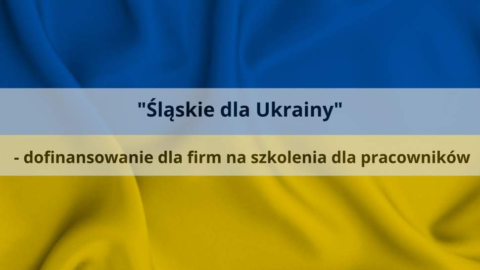 Śląskie dla Ukrainy - dofinansowanie dla firm na szkolenia dla pracowników