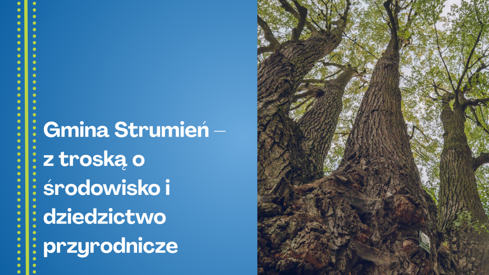 Gmina Strumień – z troską o środowisko i dziedzictwo przyrodnicze