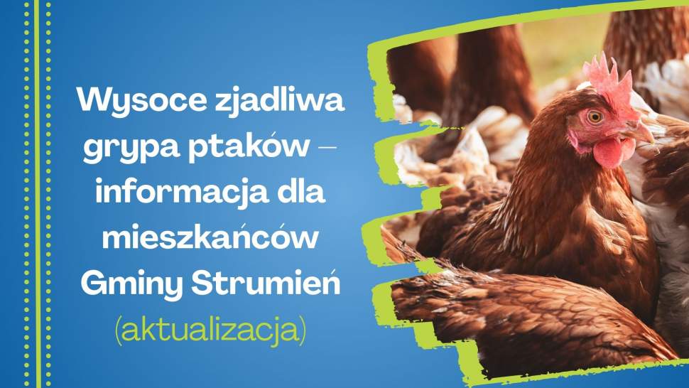 Wysocje zjadliwa grypa ptaków - informacja dla mieszkańców Gminy Strumień - aktualizacja