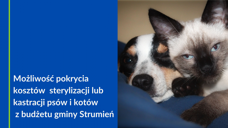 możliwośc pokrycia kosztów sterylizacji lub kastracji psów i kotów z budżetu gminy Strumień