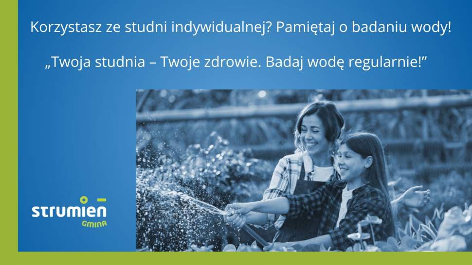 grafika